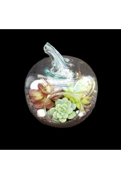 CRASAS MANZANA FANTASY C-20...