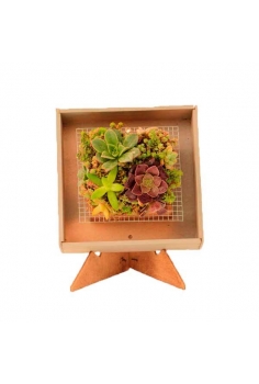 CRASAS CUADRO MADERA...