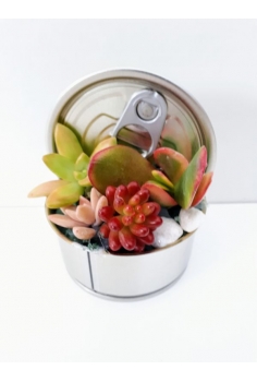 CRASAS LATA FANTSASIA...