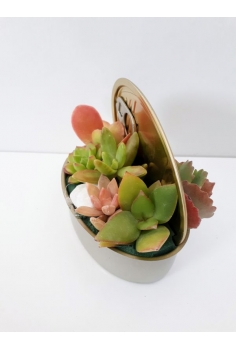 CRASAS LATA FANTASIA...