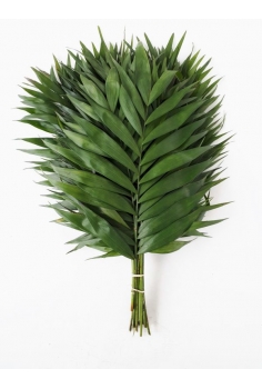 CHICO JUMBO (HOJA 30cm)...