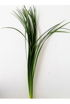 T-GRASS VERDE (POMO 60cm)...