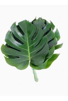MONSTERA -10 TALLOS- (HOJA...
