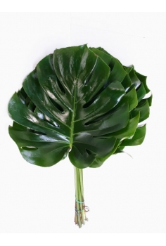 MONSTERA -10 TALLOS- (HOJA...