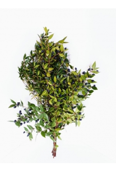 MYRTO CON BAYA -300gr-...