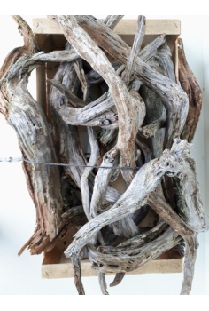 SABINAS (CAJA MADERA...