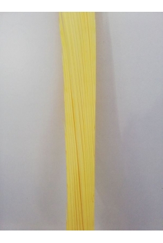 PALMÓN primeras (2.5m-3.5m)...