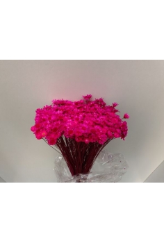 GLIXIA fuxia (40cm)...