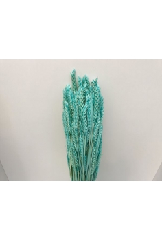 TRIGO RUSO azul (70 varas...