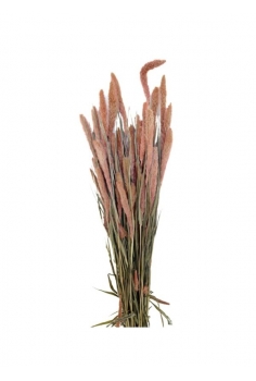 SETAREA ROSA / largo: 70cm...