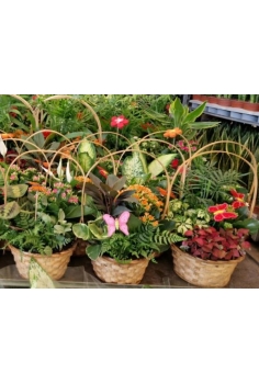 CESTA MIMBRE C-17 / 4...