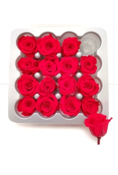 ROSAS PRESERVADAS PRINCESA...