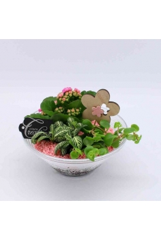 COMPO CRISTAL (diam: 20cm /...