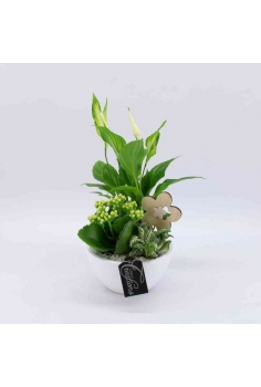 COMPO CERÁMICA (C-14 /...