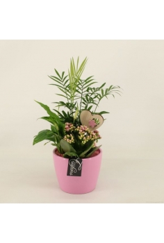 COMPO CERÁMICA (C-14 /...