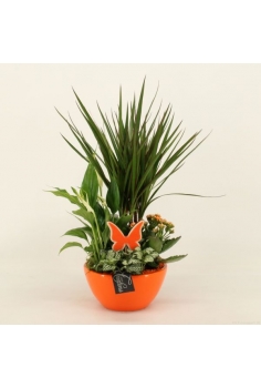 COMPO CERÁMICA (C-18 / alt:...