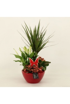 COMPO CERÁMICA (C-18 /alt:...