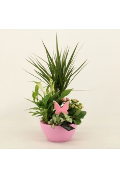 COMPO CERÁMICA (C-18 / alt:...