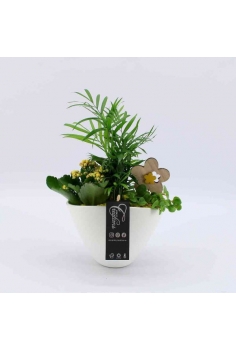 COMPO CERÁMICA (C-14 / alt:...