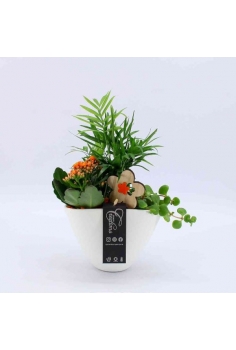 COMPO CERÁMICA (C-18 /alt:...