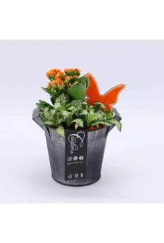 COMPO ZINC (C-13 / alt:...