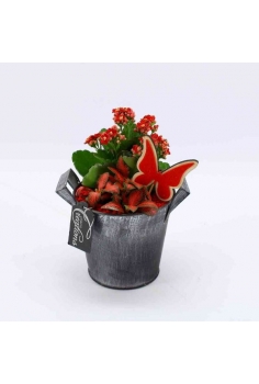 COMPO ZINC (C-13 / alt:...