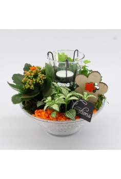 COMPO CANDLE (diam: 20cm /...