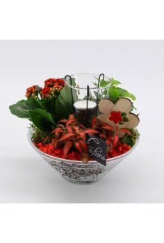 COMPO CANDLE (diam: 20cm /...