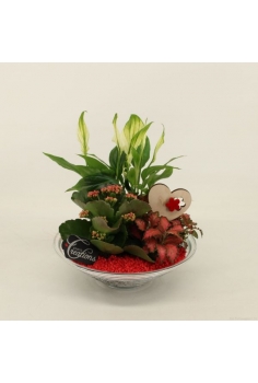 COMPO CRYSTAL (diam: 25cm /...