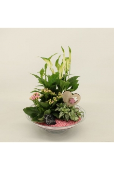 COMPO CRYSTAL (diam:25cm /...