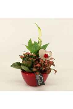 COMPO CERÁMICA (C-14 / alt:...