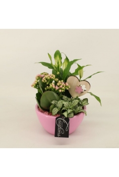 COMPO CERÁMICA (C-14 / alt:...