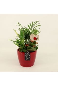 COMPO CERÁMICA (C-14 / alt:...