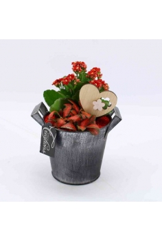 COMPO ZINC (C-13 / alt:...