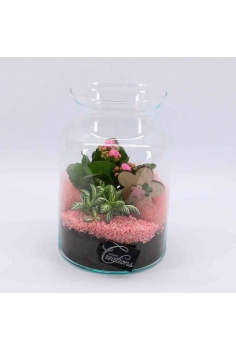 COMPO CRYSTAL (C-17 / alt:...