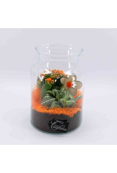 COMPO CRYSTAL (C-17 / alt:...