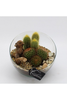 COMPO CRYSTAL (diam: 20cm /...