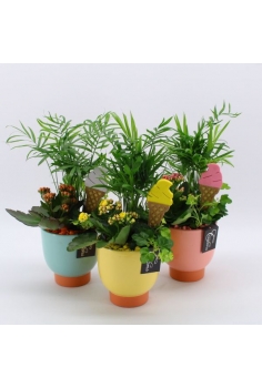 COMPO CERÁMICA (C-12 / alt:...