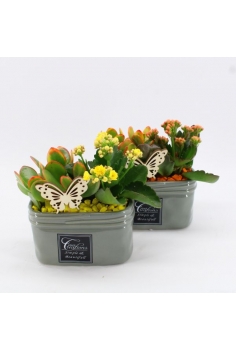 COMPO CERÁMICA (diam: 16cm...