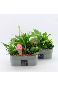 COMPO CERÁMICA (diam: 23cm...