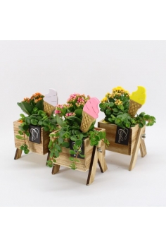 COMPO MADERA (diam: 12cm /...