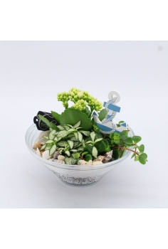 COMPO CRYSTAL (diam: 20cm /...