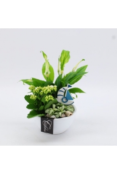 COMPO CERÁMICA (C-14 / alt:...