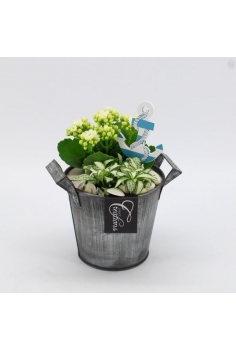 COMPO ZINC (C-13 / alt:...