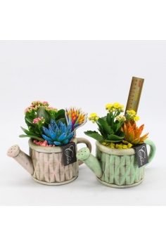 COMPO PIEDRA (C-13 /...