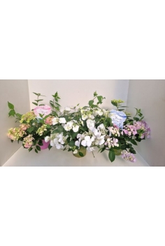 HORTENSIA GUIRNALDA MIX...
