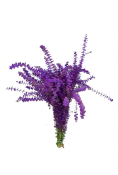 EUCALIPTO GUNNY PINTADO (LILA)