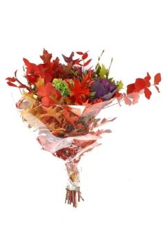 POMO OTOÑO HORTENSIA (40cm)...