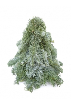 ARBOL NOBILIS NAVIDEÑO...