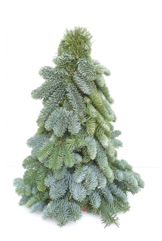 ARBOL NOBILIS NAVIDEÑO...